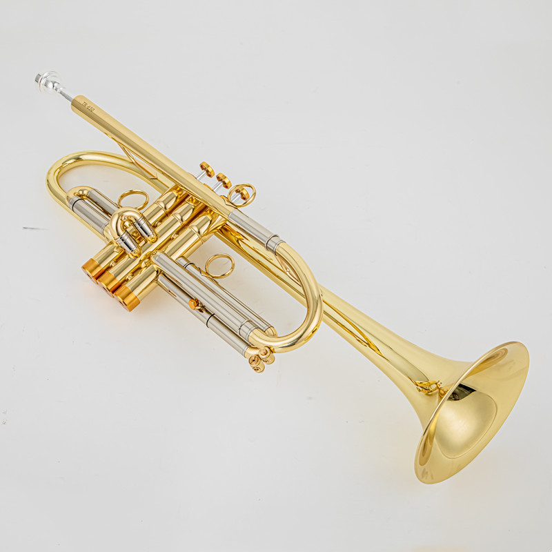 Trompeta Vincent Bach Bb Blat  - Trombone Mouthpiece reseña y precio