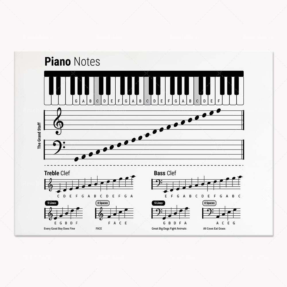Teoría de la guitarra, piano,  - Audio To Music Sheet reseña y precio